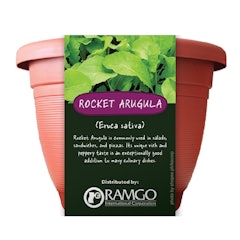 Rocket Arugula Kit
