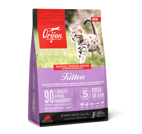 10 Best Kitten Food in the Philippines 2025 Buying Guide