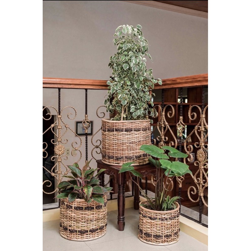 Fiona Rattan Basket Planter 3