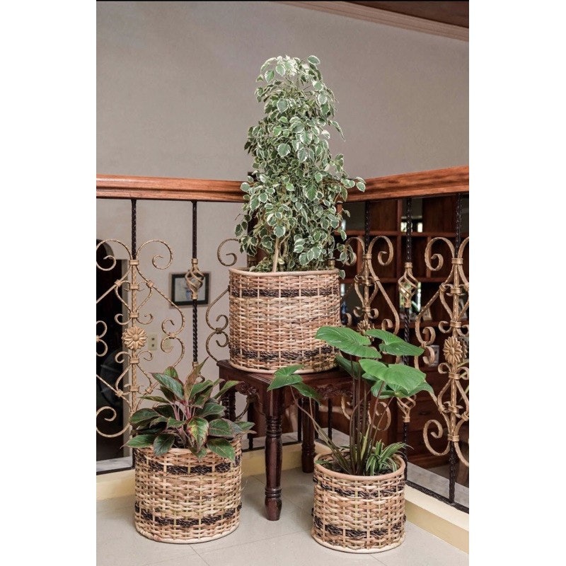 Fiona Rattan Basket Planter 3