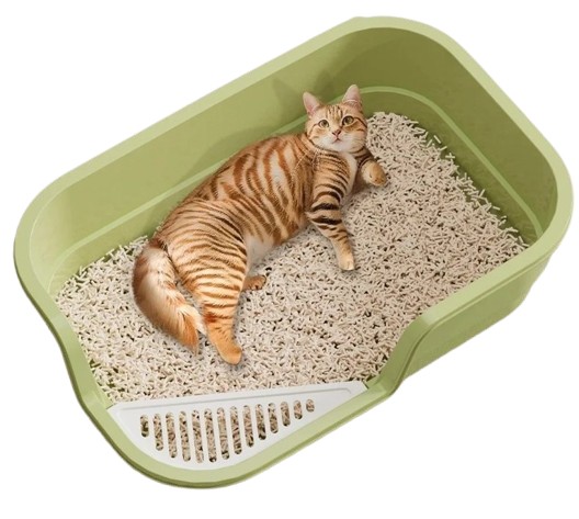 Cat Litter Box	  2