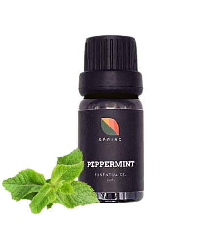 10 Best Peppermint Oils in the Philippines 2026 | Spring, Human Nature, and More 1