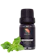 Spring Peppermint Essential Oil 1