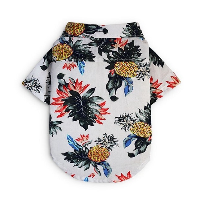 10 Best Dog Clothes in the Philippines 2026 | Buying Guide Reviewed by Veterinarian 4