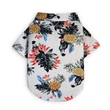10 Best Dog Clothes in the Philippines 2026 | Buying Guide Reviewed by Veterinarian 4