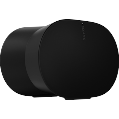 Era 300 Wireless Smart Speaker
