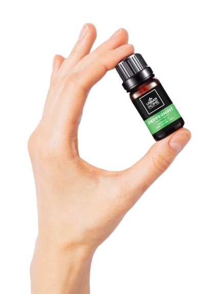 Essential Oil Sets, Aromatherapy	  5