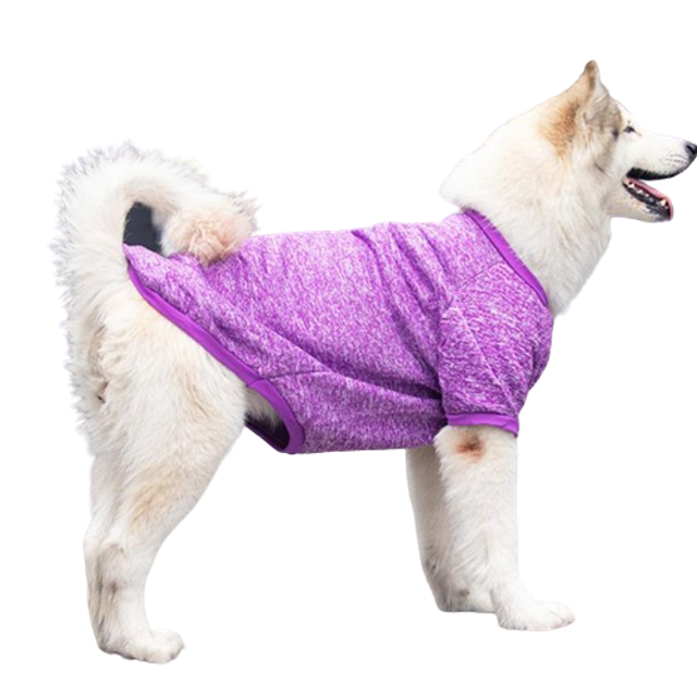 10 Best Dog Clothes in the Philippines 2026 | Buying Guide Reviewed by Veterinarian 5