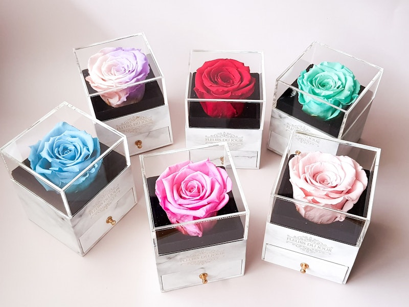 Preserved Rose in Glass Box 2