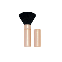 Rectractable Brush