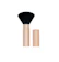 Miine Rectractable Brush 1
