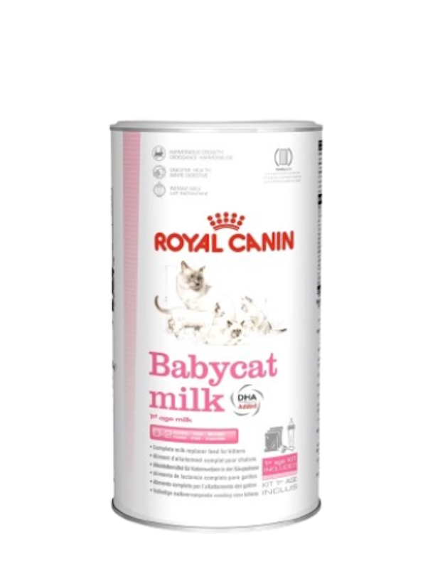 BabyCat Milk 1