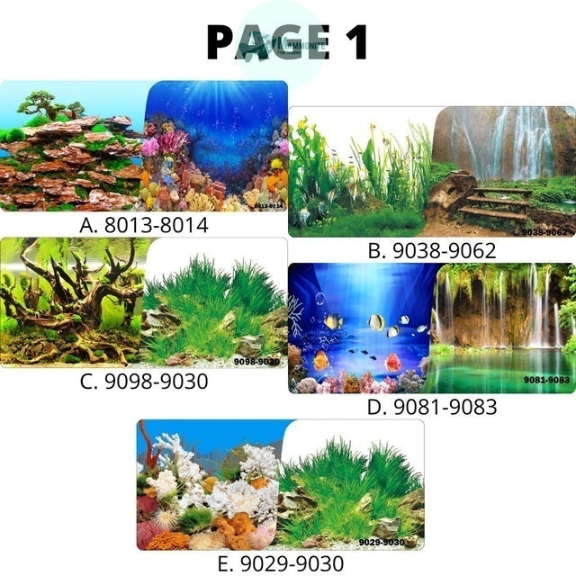 Realistic Colorful Aquarium Background Wallpaper 2