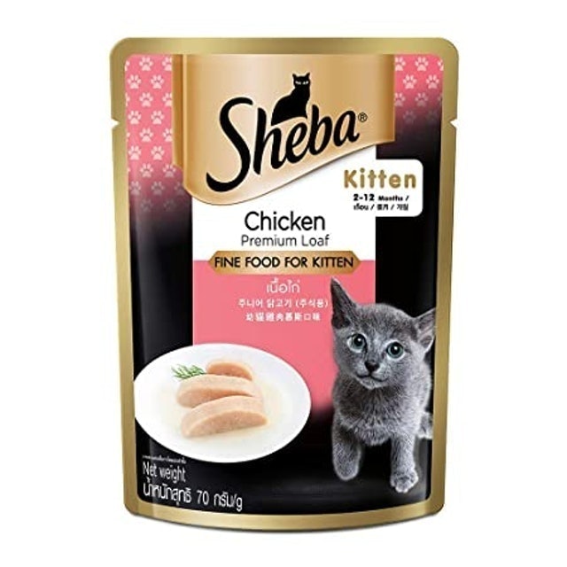 10 Best Wet Food for Kittens in the Philippines 2024 Buying