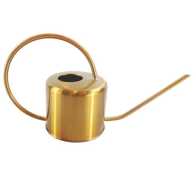 Stainless Steel Golden Long Spout Watering Can 1