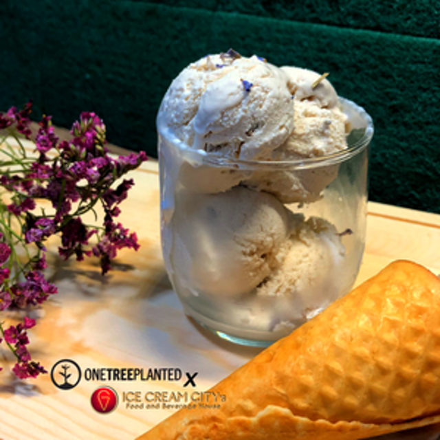 Lavender Lane Ice Cream 2