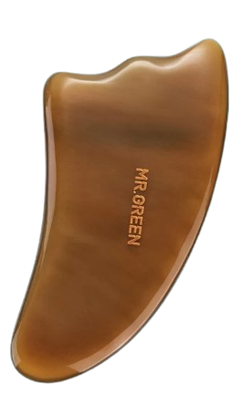 Guasha Scraping Massage Board 1