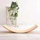 Mollagne Ph Balance Board 1