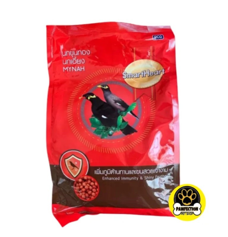 Mynah Bird Food 2