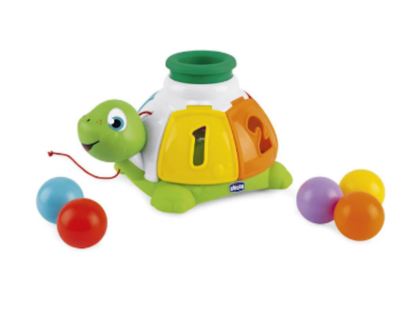 Turtle Sort & Surprise 2
