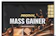 Prothin Mass Gainer 1