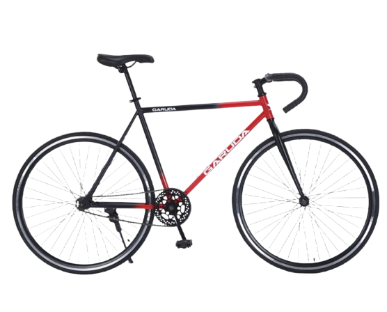 10 Best Fixie Bikes in the Philippines 2026 | Garuda, Enda, and More 2