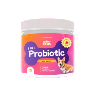 10 Best Probiotics for Dogs in the Philippines 2026 | Buying Guide Reviewed by Veterinarian 4