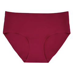 Ladies Seamless Brief Panty