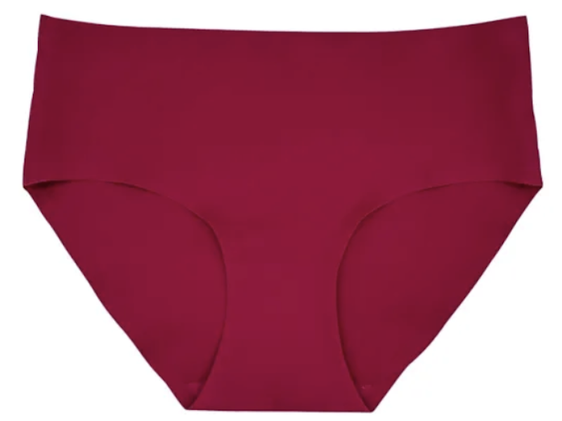 Ladies Seamless Brief Panty 1