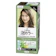 Liese Creamy Bubble Hair Color 1