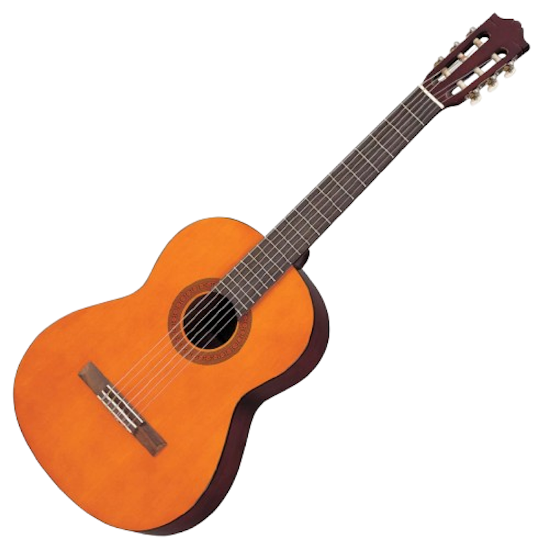 Classical Acoustic Guitar 1