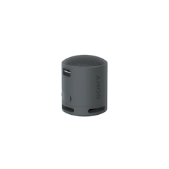 SRS-XB100 Portable Bluetooth Speaker