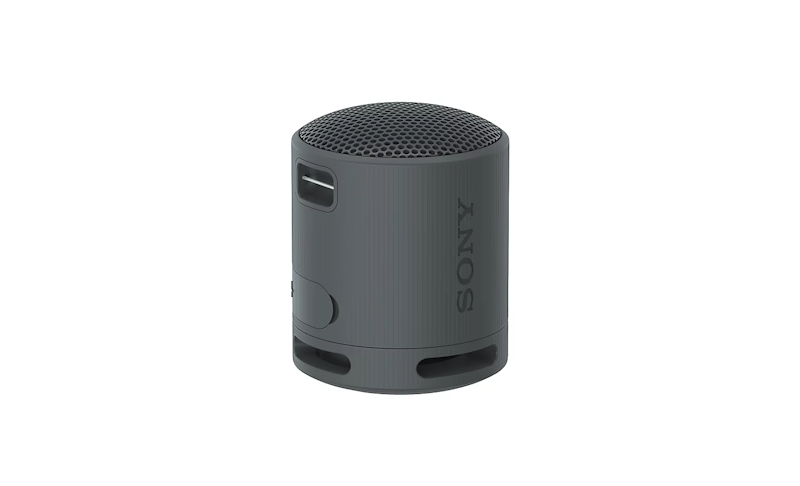 SRS-XB100 Portable Bluetooth Speaker 1