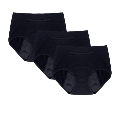 Period Panties 1