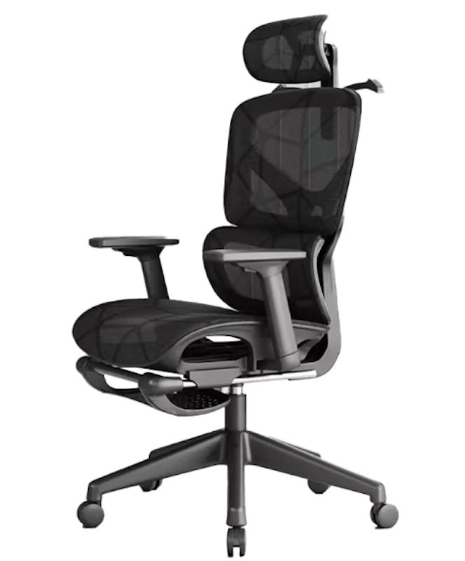 EF100-G Ergonomic Chair 1