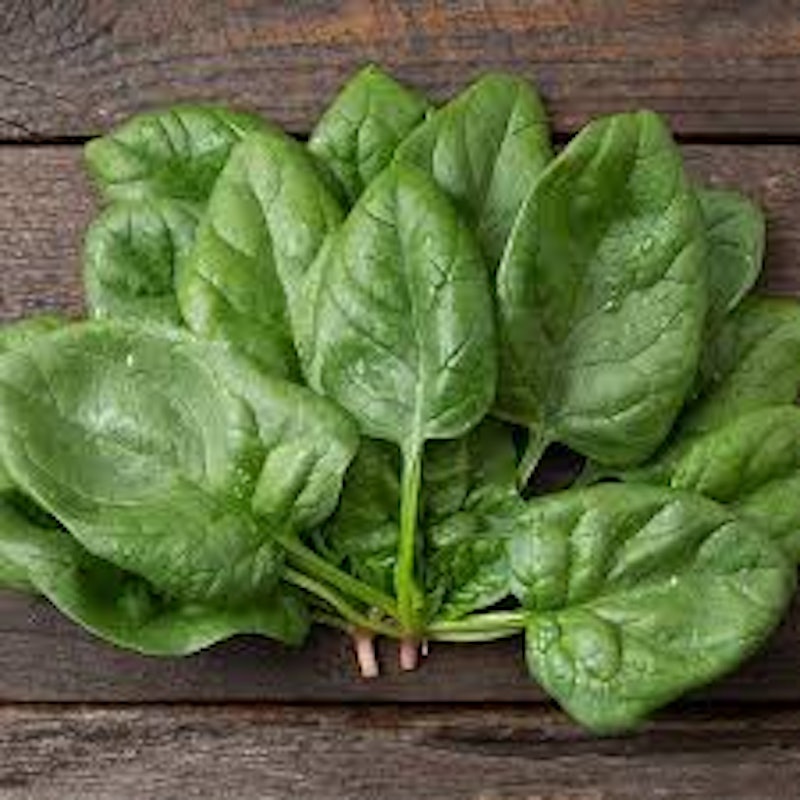 Spinach Seeds 3