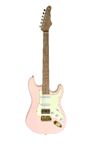 Skycaster Special Edition Plus Electric Guitar 1