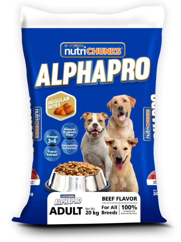 Regular Bites Adult Beef 20kg 1
