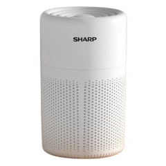 Portable Mini Car Air Purifier