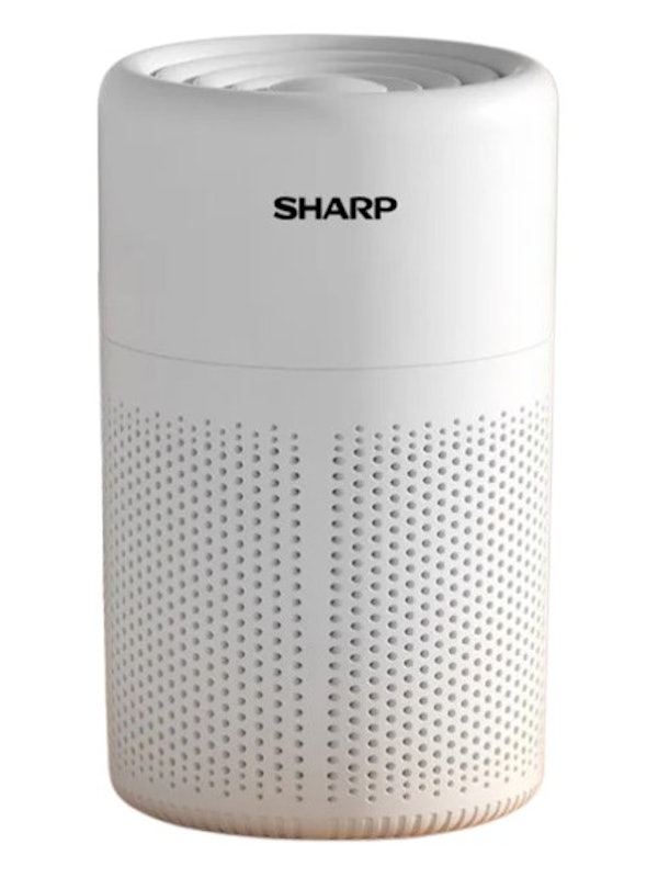 Portable Mini Car Air Purifier 1