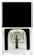 TenTen Matte Top Coat CM01 Nail Polish 1