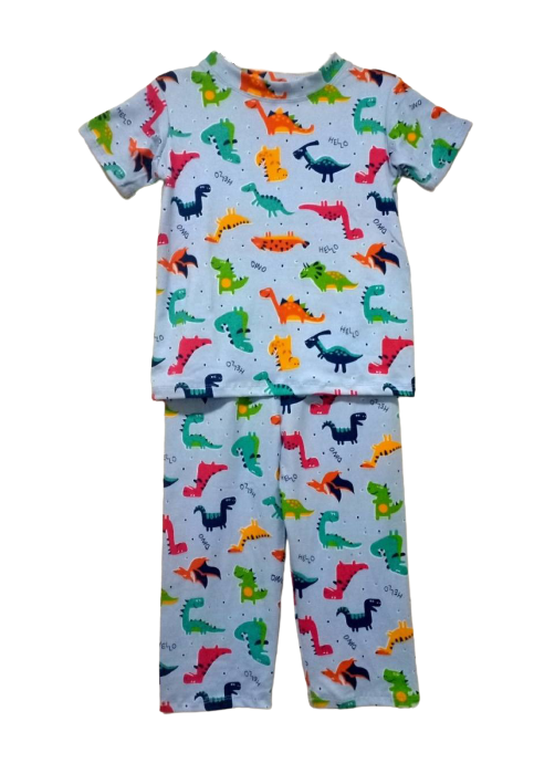 Dinosaur Pajama Set 4
