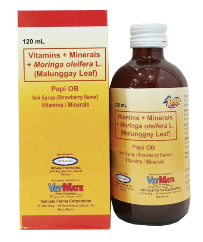 Vitamins + Mineral Syrup with Malunggay 1