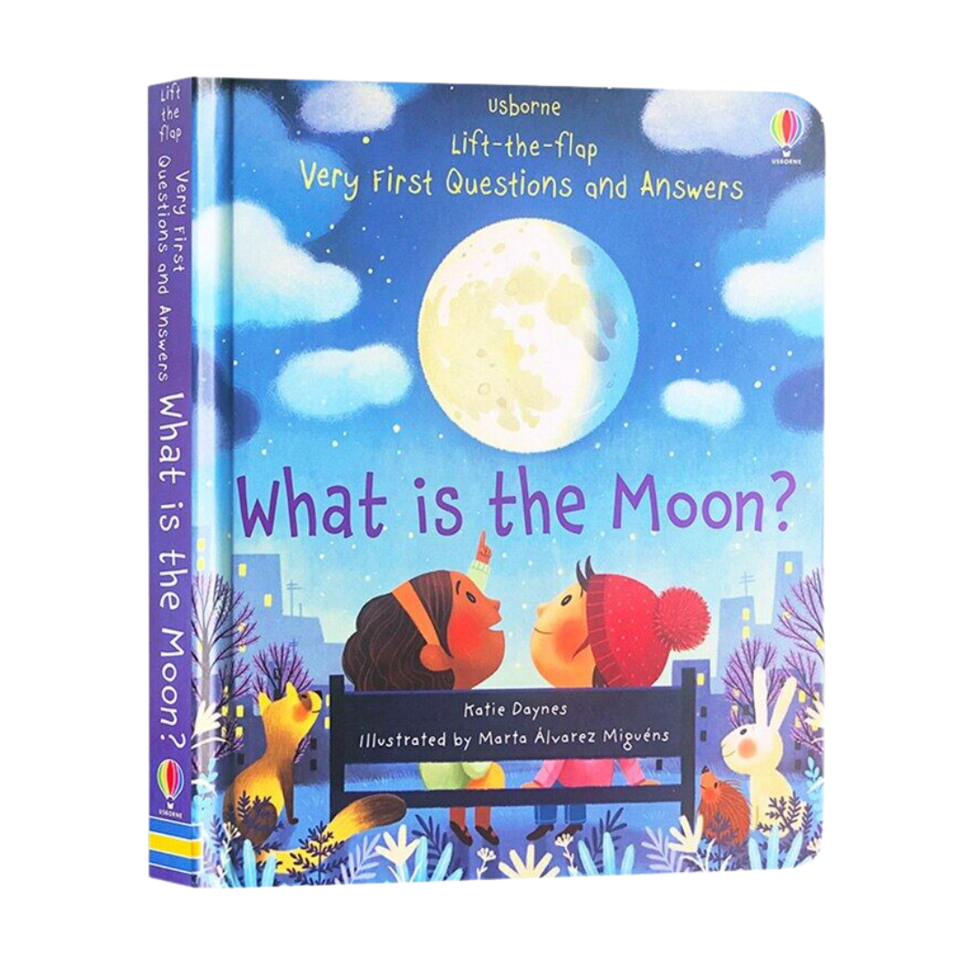 Lift-The-Flap Questions and Answers Book 10