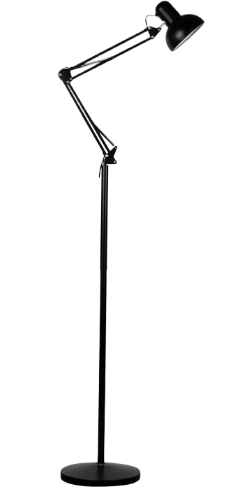 Adjustable Arm Floor Lamp 1