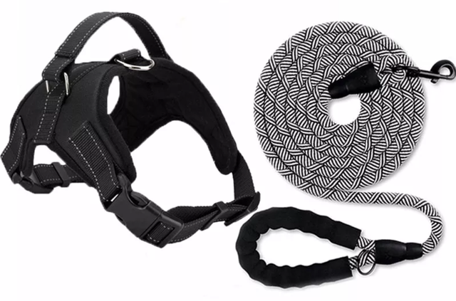 Harness and Leash 1
