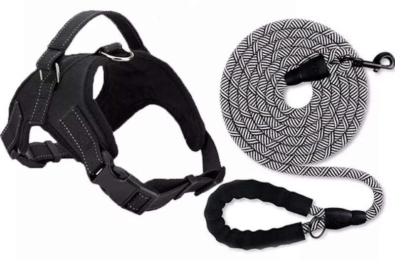 Harness and Leash 1