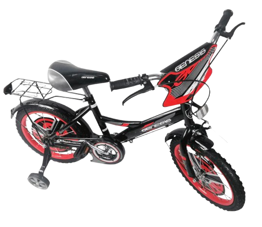 Genesis Red 16 inch Bike 1