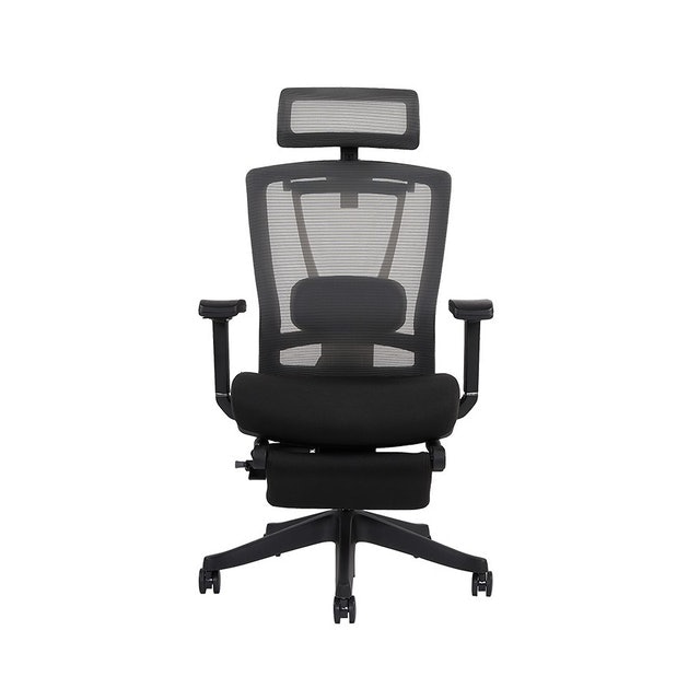 ErgoChair Alpha 6