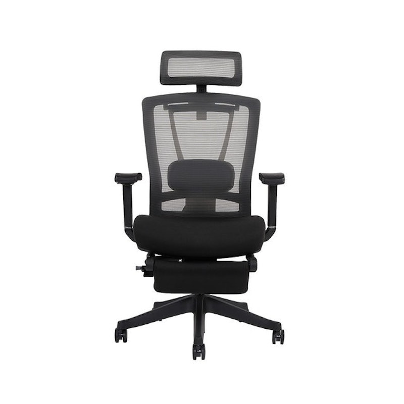 ErgoChair Alpha 6